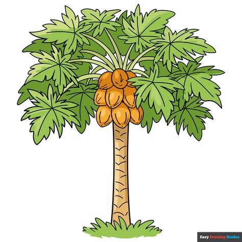 Papaya Tree Drawing, Images For Drawing, Trees Drawing Tutorial, Palm Tree Drawing, Papaya Tree, Tree Outline, Botanical Flowers Print, Cartoon Trees, Fruits Drawing