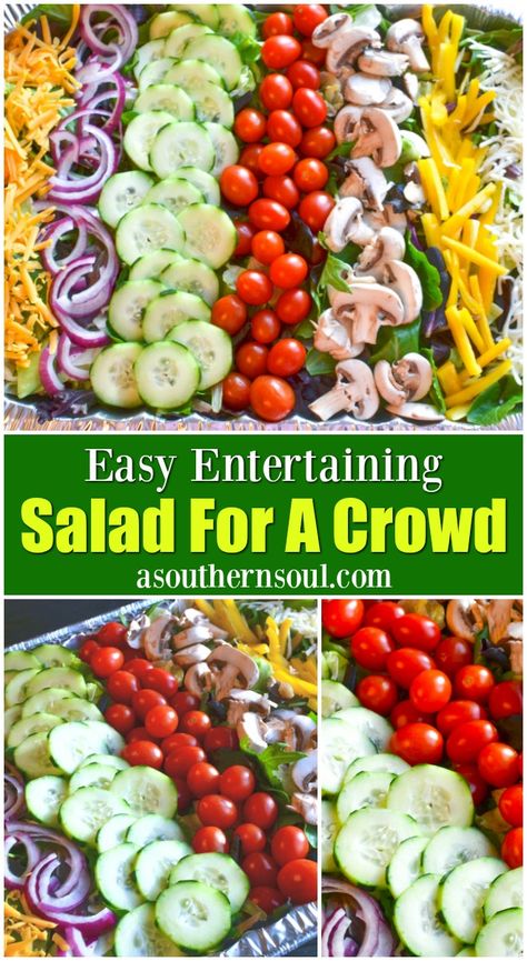 Salad for a crowd with tomatoes, cucumbers, onions, mushrooms and cheese with a homemade vinaigrette is a hit at any gathering or party. Salads For Large Groups, Recipes For Large Groups, Seasonal Appetizers, Salad For A Crowd, Salads For A Crowd, Green Veggies, Tossed Salad, Cooking For A Crowd, Salad Recipes For Dinner