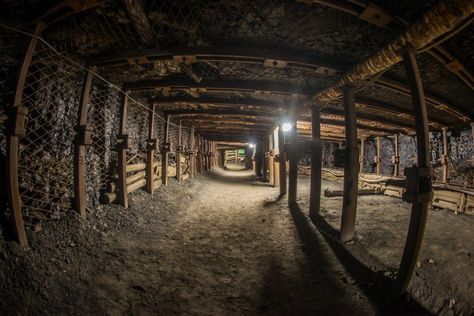 Former mine shafts and tunnels could serve as underground farms Underground Farm, Odessa Catacombs, Abandoned Mine, Crop Production, Global Food, Underground Tunnels, Location Inspiration, Industrial Photography, Scary Places