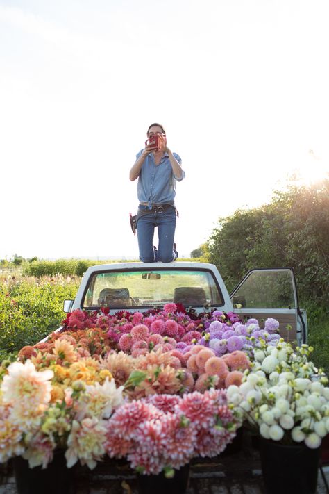 Aesthetic Gardens, Wedding Dresses Garden, Peony Farm, Garden Wedding Dress, Peace Garden, Patio Gardens, Cut Flower Farm, Planters Garden, Dahlias Garden