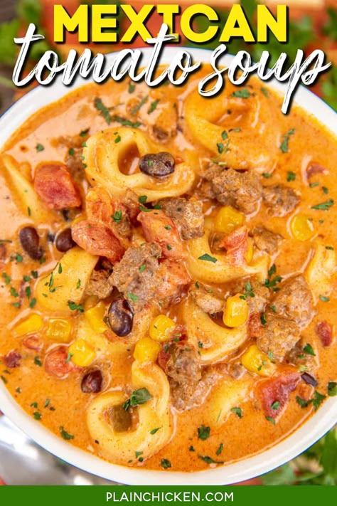 Tomato Soup Based Recipes, Mexican Tomato Soup, Mexican Tortilla Soup, Mexican Tortilla, Tomato Tortellini Soup, Slow Cooker Chicken Chili, Condensed Tomato Soup, Canned Tomato Soup, Veg Soup