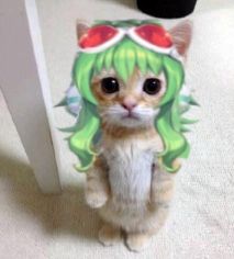 Vocaloid Wallpaper Pc, Gumi Aesthetic, Gumi Icon, Gumi Cosplay, Shocked Emoji, Miku Hatsune Chibi, Rythm Game, Kasane Teto, Vocaloid Funny