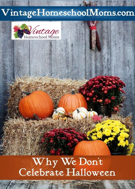 Celebrations come in all shapes and sizes. Celebrations from Easter to Thanksgiving to Christmas … and then there is Halloween. This podcast discusses some important points to consider. Straw Bale Decor Fall, Fall Container Plants, Fall Flowers Garden, Fall Yard Decor, Fall Containers, Straw Bale, Rustic Background, Straw Bales, Fall Outdoor Decor