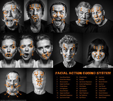 Facial Action Coding System, Andy Gotts, Expressions Reference, Dustin Brown, Facial Expressions Drawing, Facial Anatomy, Face Anatomy, 얼굴 드로잉, 얼굴 그리기