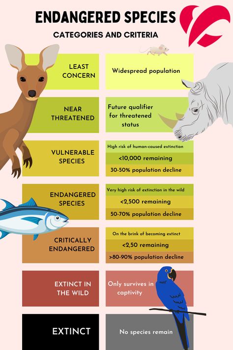 Happy Endangered Species Day! Animals Endangered, Endangered Species Activities, Endangered Species Project, Poster On Endangered Species, Save Endangered Animals Poster, Endangered Species Art, World Elephant Day, Endangered Plants, Different Types Of Animals