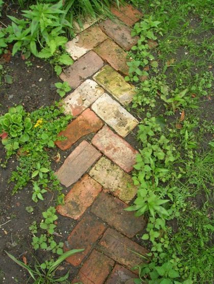 I kind of like this idea, especially for   an herb garden edging ... and we've got the spare bricks to use,   too. Brick Path, نباتات منزلية, Garden Walkway, Recycled Garden, Have Inspiration, The Secret Garden, Garden Pathway, Garden Edging, Garden Borders