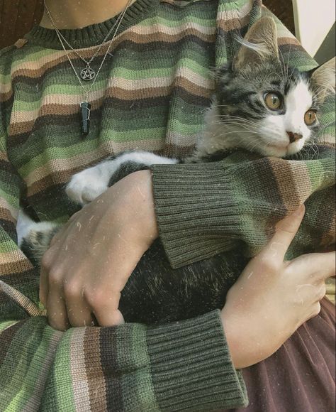 Funky Grandpa Sweaters, Kitten Cottagecore, Grandpa Jumper, Film Moodboard, Cottagecore Fits, Kitten Sweater, Witches Familiar, Cottagecore Sweater, Fits Inspo