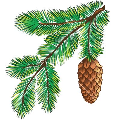 Pine Cone Drawing, Branch Drawing, Family Tree Poster, Christmas Tree Drawing, Tree Textures, Vector Graphics Design, Tree Logos, Trendy Tree, Leaves Vector