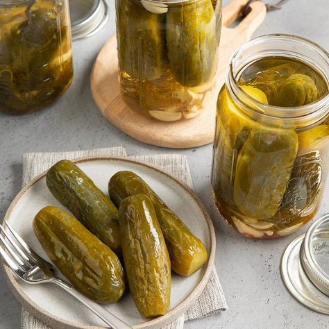 Old-Fashioned Garlic Dill Pickles Garlic Pickles, Making Dill Pickles, Refrigerator Pickles Dill, Garlic Dill Pickles, Pickled Green Beans, Dill Pickle Recipe, Pickles Recipe, Pickled Okra, Spicy Pickles