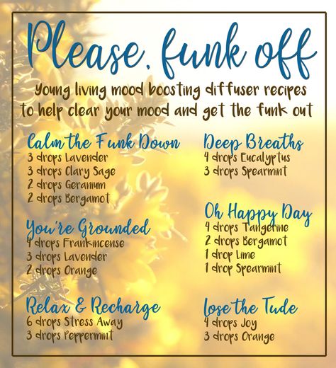 Get The Funk Out Diffuser Blends, Deodorizing Diffuser Blend, You G Living Diffuser Blends, Healing Diffuser Blends, Mood Boosting Diffuser Blends, Young Living Essential Oils Recipes Diffuser, Youngliving Recipes, Essential Oil Recipes Diffuser, Mood Boosting Essential Oils