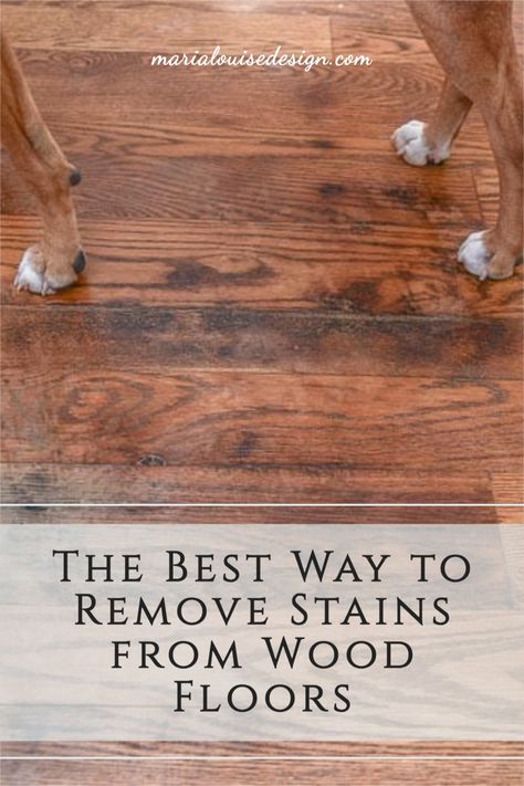 Transform your hardwood floors with ease! 🌟 Discover proven strategies to effectively remove those stubborn stains and bring back the luster of your wood. Don’t let unsightly marks ruin your beautiful flooring—learn how to tackle them with simple, actionable tips that save time and effort. ?✨ Your home deserves to shine! #HomeCare #WoodFloorCleaning #DIYInsertRetryShorten it Refinishing Hardwood Floors Stains, Stripping Wood Floors, How To Deep Clean Wood Floors, How To Clean Wood Floors, Remove Stains From Wood, Water Stain On Wood, Scratched Wood Floors, Wood Floor Cleaning, Remove Water Stains