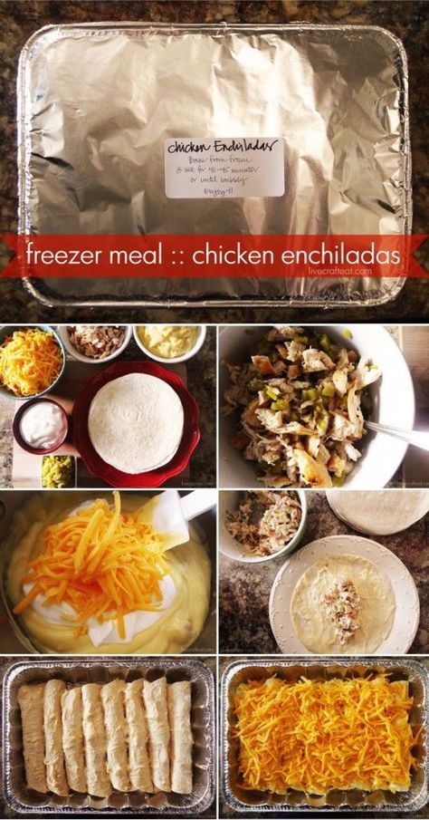 Chicken Enchiladas Freezer Meal, Double Recipe, Easy Chicken Enchilada Recipe, Chicken Freezer Meals, Freezer Dinners, Freezer Friendly Meals, Freezable Meals, Freezer Meal Planning, Make Ahead Freezer Meals