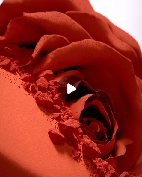 bus.group on Instagram: "Rose reveal developed and produced for Lancôme’s L’Absolu Rouge campaign.  Big thanks to @publicisluxe for bringing us along.  #busgroup #cgi #3d #animation #motion #lancomebeauty" Big Thanks, 3d Animation, Abstract Design, 3 D, Motion, Bring It On, On Instagram, Beauty, Instagram