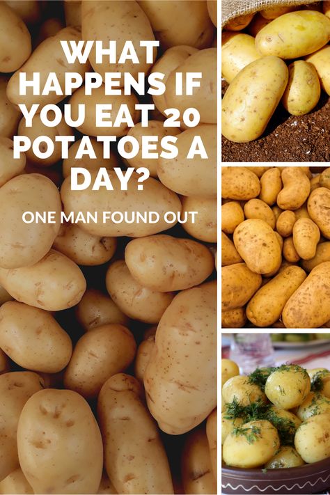 Chris Voigt is the executive director of the Washington State Potato Commission. In an effort to educate the public about the nutritional value of potatoes, he ate 20 potatoes a day, for 60 days straight. That’s right, his diet consisted of only potatoes and nothing else. No toppings, no chili, no sour cream, no cheese, no gravy – just potatoes and maybe some seasonings or herbs and a little oil for some of the cooking. Here's how it turned out. #foodscience Potato Reset, Broccoli Mum, Starch Solution Recipes, Potato Diet, Mcdougall Recipes, Benefits Of Potatoes, Banana Diet, Canned Potatoes, Potato Bar