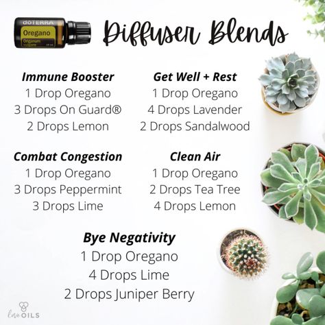 Doterra Diffuser, Oregano Essential Oil, Doterra Diffuser Blends, Doterra Essential Oils Recipes, Essential Oil Diffuser Blends Recipes, Essential Oils Guide, Essential Oil Diffuser Recipes, Oil Diffuser Recipes, Essential Oil Blends Recipes