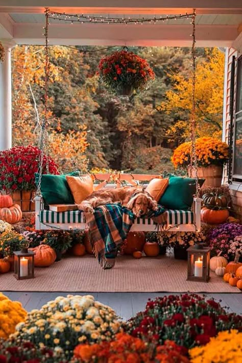 Cozy Outoor Decor With Lights ★ Explore DIY fall decorations ideas for home. Learn how to decorate your outdoor porch and indoor space. #glaminati #homedecor #falldecorations Outside Fall Decor, Geek Decor, Fall Front Porch, Fall Decorations Porch, Fall Front, Fall Outdoor, Decoration Inspiration, Fall Porch, Decor Minimalist