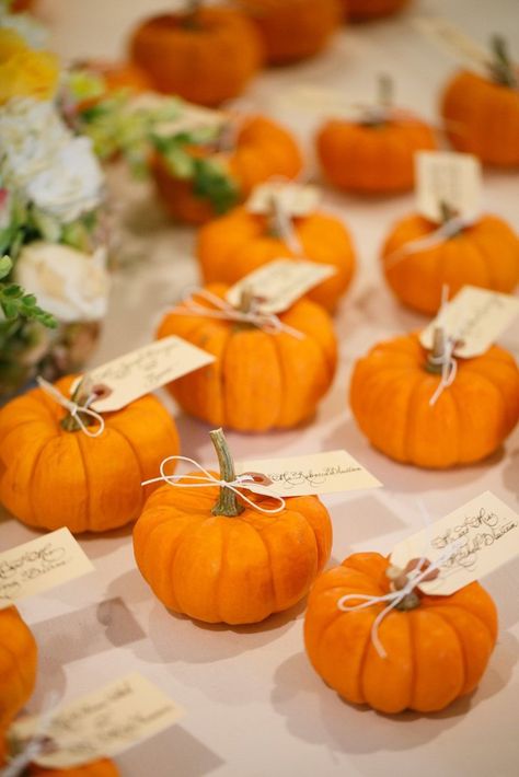 Pumkin Ideas, Wedding Brunch Reception, Fall Wedding Table Decor, Fall Wedding Tables, Pumpkin Wedding, Entertainment Ideas, Wedding Themes Fall, Seating Cards, Fall Wedding Decorations