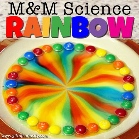 Looking for a science activity that will mesmerize kids (and grownups!) of all ages? This M&M science rainbow is just the activity you need! Rainbow Art For Kids, Preschool Science Experiments, Rainbow Science, Candy Science, Steam Activity, Rainbow Activities, Preschool Science Activities, Science Experiments For Preschoolers, Kids Rainbow