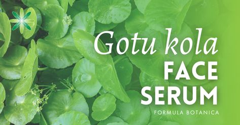 Gotu Kola Benefits, Fun Skincare, Facial Lotion, Gotu Kola, Seed Oils, Cosmetics Ingredients, Botanical Oils, Exfoliate Face, Oil Benefits