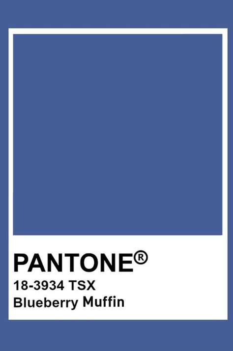 Blueberry Pie Color Palette, Blueberry Colour Palette, Blue Pantone Colour Palettes, Blueberry Color Aesthetic, Pantone Blueberry, Blueberry Bedroom, Blueberry Palette, Blueberry Color Palette, Blue Pantone Palette