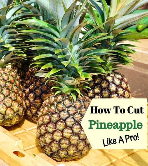 How To Cut Pineapple - Core, Slice in Rings & Chunks | The Foodie Affair Pineapple Plant Care, Smirnoff Flavors, Making Rose Water, Dehydrate Pineapple, Tropical Snacks, Pineapple Core, Baby Pineapple, Fruit Plus, Pineapple Benefits