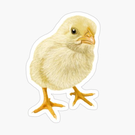 April Baby, Beverage Ideas, Farm Stickers, Baby Chicken, Sticker Baby, Baby Chickens, Poultry Farm, Plastic Stickers, Farm Theme