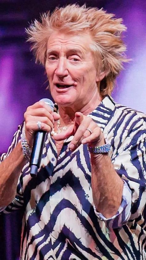 Rod Stewart 70s, Flowers For Girlfriend, Rod Stewart, Latest Albums, Rolling Stones, Eagles, Collage, Flowers, Pins