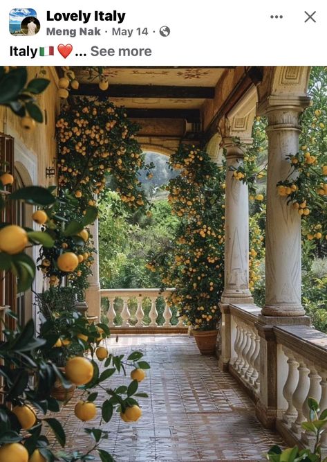 Italian Villa Aesthetic, Italian Villa House, Italian Countryside Aesthetic, Italian Countryside House, Italian Home Aesthetic, Small Italian Villa, Tuscany Aesthetic, Vineyard House, Queen Anne House