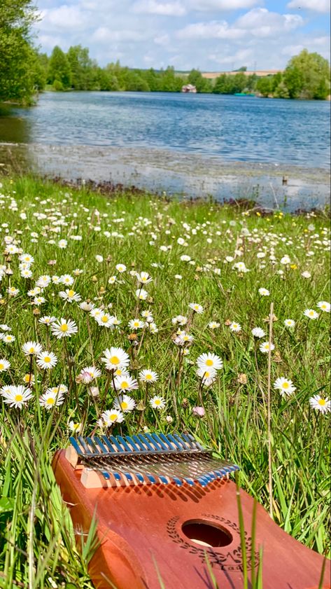 Kalimba en plein milieu d’herbe abec de petites fleurs au bord d’un lac Kalimba Aesthetic, Music In Nature, Liquid Architecture, Maladaptive Daydreaming, Vision Board Party, Vision Board Images, Victorian Aesthetic, Guitar Pics, Nature Music