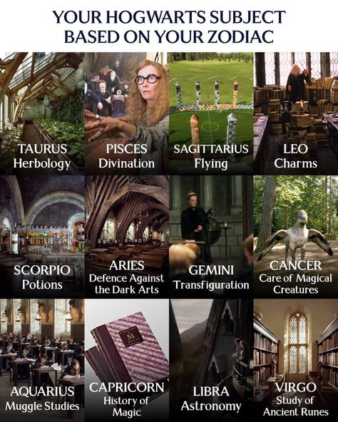 Hogwarts Subjects, Introvert Extrovert, Witchy Aesthetics, Potter Head, School Of Witchcraft, Based On Your Zodiac Sign, After All This Time, Hogwarts School, All This Time