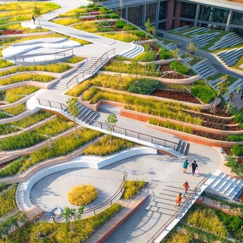 Urban Rooftop, Urban Heat Island, Urban Agriculture, Agricultural Practices, Sustainable City, Urban Farming, Modern Landscaping, Green Roof, Urban Planning