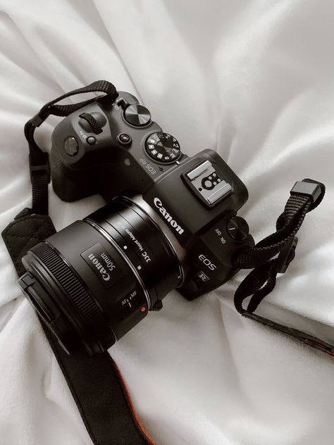 Canon EOS RP first impressions – Audrey Walsh Photography Canon Camera Aesthetic, Hero Poses, Softboy Aesthetic, Canon Eos Rp, Photographer Aesthetic, Vlog Camera, Surprises For Husband, Cute Camera, Hobbies For Women