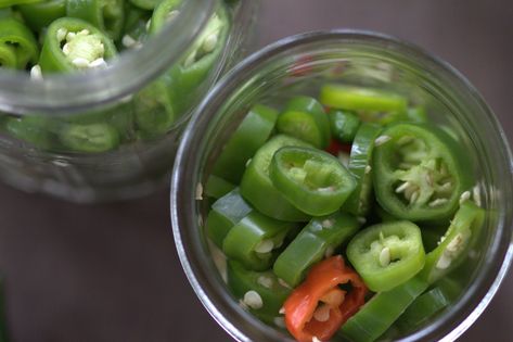 Pickled Hot Garden Salsa Peppers Garden Salsa Peppers, Salsa Peppers, Hot Garden, Garden Salsa, Pepper Plant, Pepper Salsa, Pickling Jalapenos, Pepper Plants, Pumpkin Spice Season