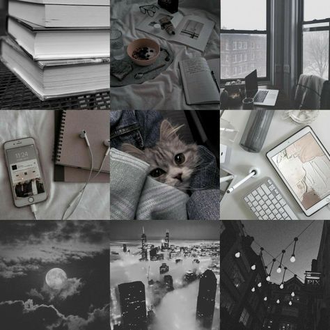 Gray Moodboard Aesthetic, Aesthetic Character Moodboard, Cat Moodboard Aesthetic, School Moodboard Aesthetic, Mood Boards Character Design, Grey Mood Board Aesthetic, Moodboards For Characters, Moodboards For Ocs, Character Moodboard Aesthetic