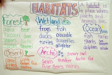 20 Wild Ways to Explore Animal Habitats With Kids Habitats Activities For Kids, Habitat Kindergarten, Teaching Habitats, Habitat Activities, Relief Teaching Ideas, Habitats Projects, Science Anchor Charts, 1st Grade Science, First Grade Science