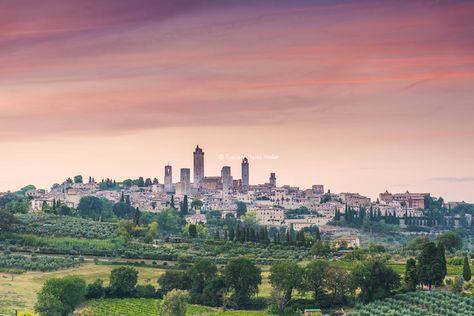 San Gimignano Italy, Tuscany Wine, San Miniato, Tuscany Landscape, Tuscany Travel, Siena Italy, Italy Photo, Italian Summer, Travel Inspo