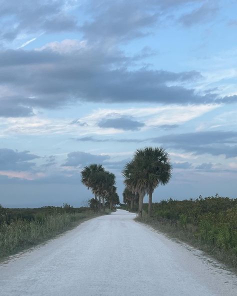 florida🐊🐬🐚 Florida Gothic Aesthetic, Rural Florida, Florida Gothic, Ruskin Florida, Road Trip Books, Deland Florida, Cracker House, Northern Florida, Missing Home