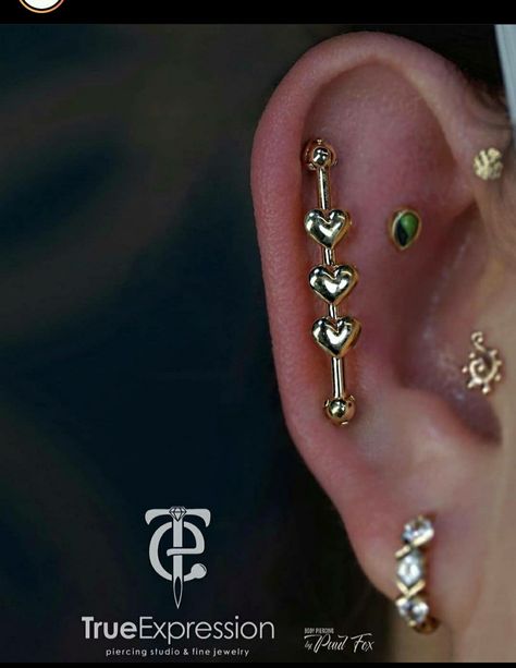 Ear Scape, Piercing Art, Chocolate Covered Fruit, Piercing Inspo, Piercing Studio, Industrial Piercing, Ear Jewelry, Chocolate Covered, Piercing Jewelry