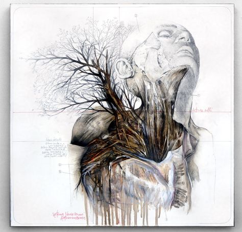 Plants, Animals and People Share Common Anatomy in This Incredible Artist's Work. Nunzio Paci, Anatomy, Trees, Human, History, Art, Nature