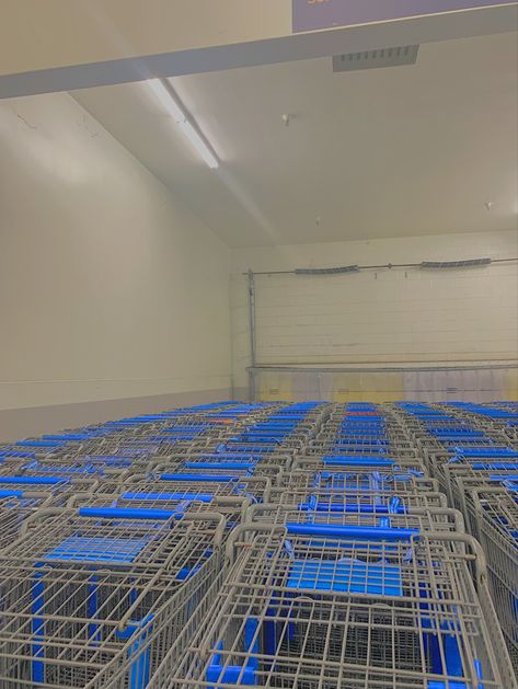 Walmart buggies Vintage Mall Aesthetic, Working At Walmart Aesthetic, Walmart Aesthetic Pictures, Employee Aesthetic, Mall Astethic Pic, Old Mall Aesthetic, Working Supermarket Aesthetic, Working At Walmart, Walmart Aesthetic