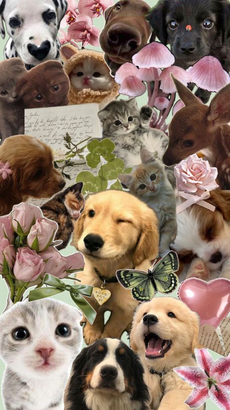 puppy and kitty collage Animal Gang, Collage Photo Frame Design, Angel Garden, Collage Photo Frame, Random Animals, Collage Photos, The Best Wallpapers, Cute Laptop Wallpaper, Cute Laptop