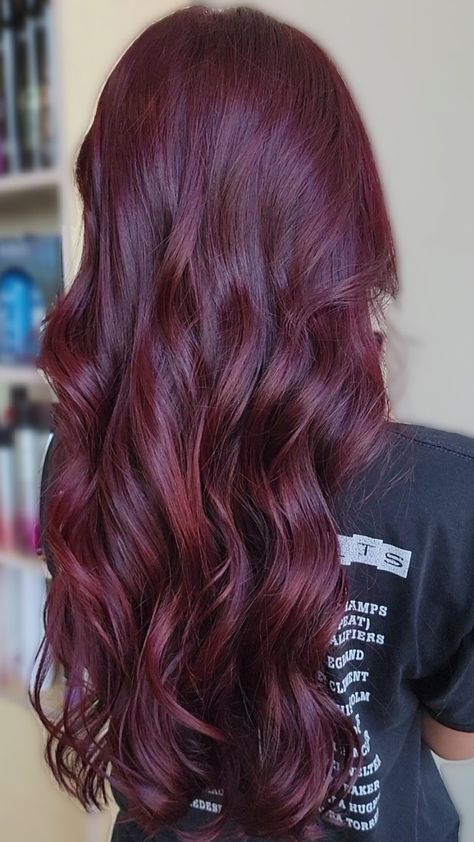 Full Burgundy Hair, Hair Color Ideas For Latinas Skin, Shades Of Burgundy Hair, Light Red Violet Hair, Winter Hair Color Burgundy, Bold Burgundy Hair, Dark Wine Red Hair Burgundy, Long Burgundy Hair With Layers, Hair Color Ideas Wine Red