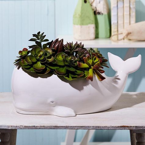 Beluga Whale Planter/Beverage and Ice Tub design by Twos Company – BURKE DECOR Terra Cotta Pot Ideas, Planter Ideas Diy, Whale Planter, Ceramic Whale, Summer Planter, Yellow Planter, Creative Planter, Diy Hanging Planter, Shell Planter