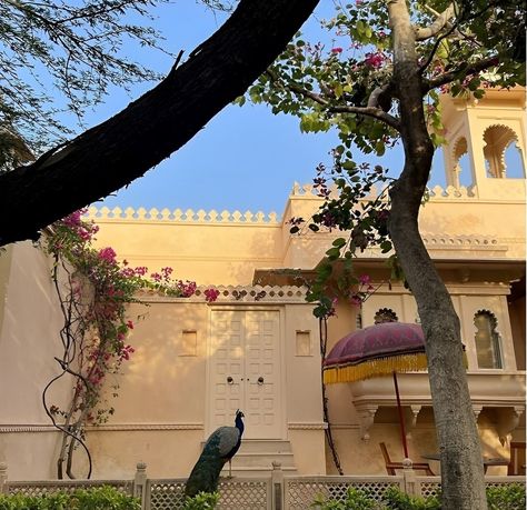 Capturing the grandeur of Rambagh Palace, where opulence meets history in every corner. In the world of Tooshmoda, this iconic backdrop inspires timeless elegance and regal charm. #RambaghPalace #TooshmodaStyle #RoyalHeritage #PalaceLife #LuxuryTravel #HistoricElegance #IndianArchitecture #OpulentDesigns #FashionInspiration #CulturalRiches #HeritageSite #RegalSplendor #TooshmodaLove #TravelGoals #LuxuryLifestyle #ArchitecturalBeauty #ExploreIndia #PalatialVibes #TimelessFashion #Fashionabl... India Core Aesthetics, Vrindacore Aesthetic, India Aethstetic, Palak Core Aesthetic, Indian Aesthetic Places, India Travel Aesthetics, India Asethic, Radhika Core, Bhoomi Core