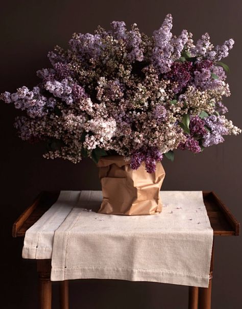 #lilas #home #décoration Crepe Myrtle, Paper Vase, Crape Myrtle, Flower Inspiration, Floral Bouquets, Love Flowers, My Flower, Flower Shop, Pretty Flowers