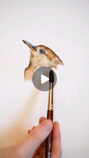 Wren Watercolor, Jenny Wren, Watercolor Ideas, Wren, Water, On Instagram, Instagram, Art