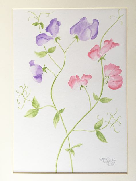 Sweet Pea Watercolor, Watercolor Painting Easy, Mother Daughter Tattoos, Light Pink Flowers, Easy Doodle Art, Tattoos For Daughters, Simple Doodles, Sweet Pea, Fabric Painting