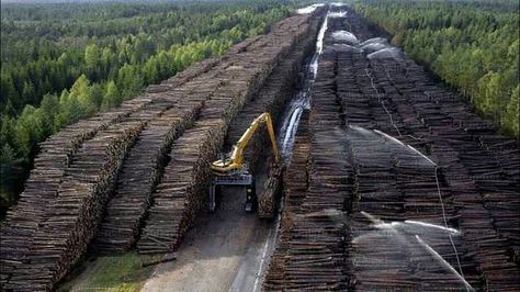 Largest log pile in the world. On January 8, 2005 Cyclone Gudrun like a Category 1 hurricane hit Sweden & Denmark. Sustained wind speeds of 78.3mph (126km/h) with gusts of 102.5mph (165km/h). Killed 22 people. Struck down 75 million cubic meters of trees. This is Byholma, storage area created by Swedish government to process all this mess. How much is 75 million cubic meters of trees? Photo shows just ONE; enlarge & imagine 74 more. Still a working lumber pile today. Research: DdO:)  #storm