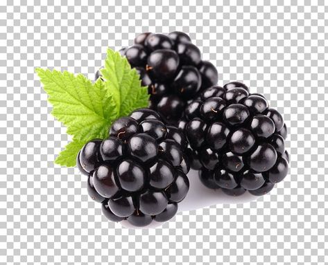 Blackberry Fruit, Psd Texture, Fruit Nutrition, Photo Elements, Fruits Photos, Food Delivery App, Graphic Design Tutorials Learning, Fruit Photography, Food Poster Design