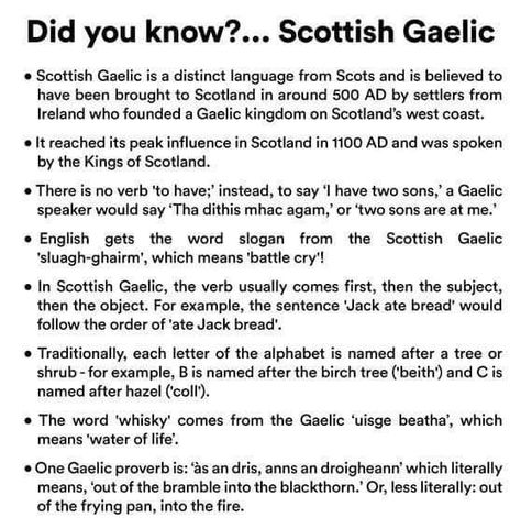 Scottish Gaelic features in my Once & Future Series. Here are some interesting facts about Scottish Gaelic. Learn Scottish Gaelic, Scottish Language, Verb To Have, Scottish Words, Gaelic Words, Learn Language, Outlander Quotes, Scottish History, Some Interesting Facts